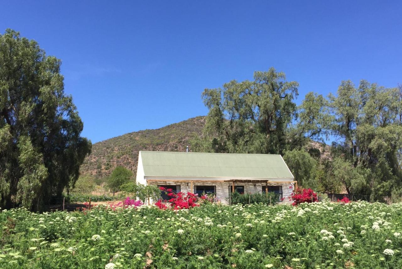 Pepper Tree Cottage De Rust Eksteriør billede